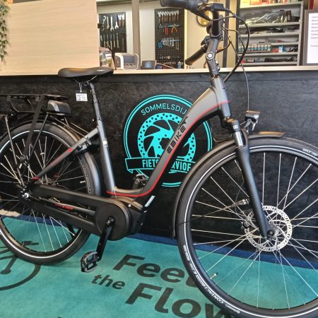 Advanced Ebike Comfort plus